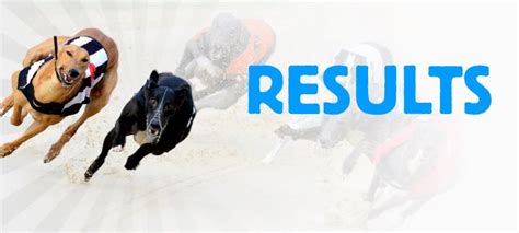 racing post results greyhounds|Horse Racing Cards, Results & Betting .